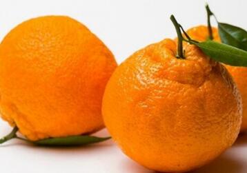 丑橘什么时候上市 丑八怪水果几月份吃最好