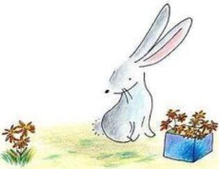 小白兔的故事：小白兔照镜子的故事